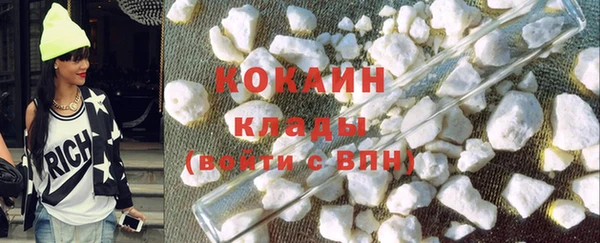 ГАЛЛЮЦИНОГЕННЫЕ ГРИБЫ Аркадак