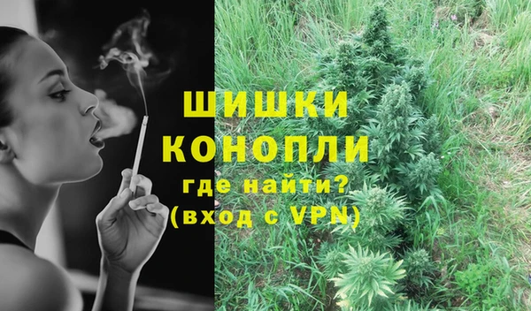 spice Арсеньев