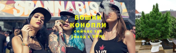 ГАЛЛЮЦИНОГЕННЫЕ ГРИБЫ Аркадак