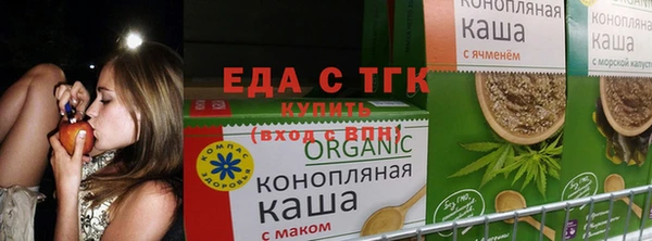 ГАЛЛЮЦИНОГЕННЫЕ ГРИБЫ Аркадак