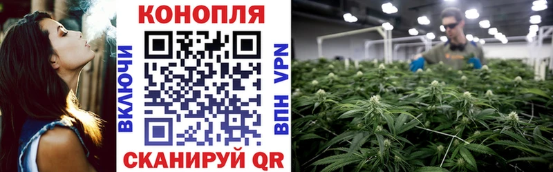 Марихуана Bruce Banner  сколько стоит  Ревда 